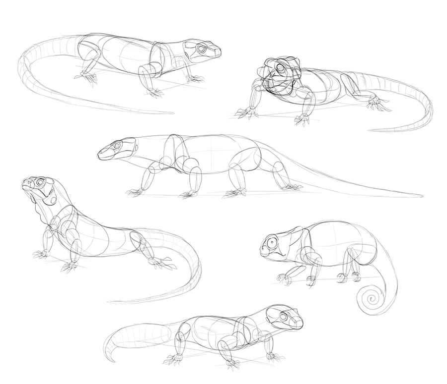 SketchBook Original: How to Draw Lizards – Monika Zagrobelna | Lizard ...