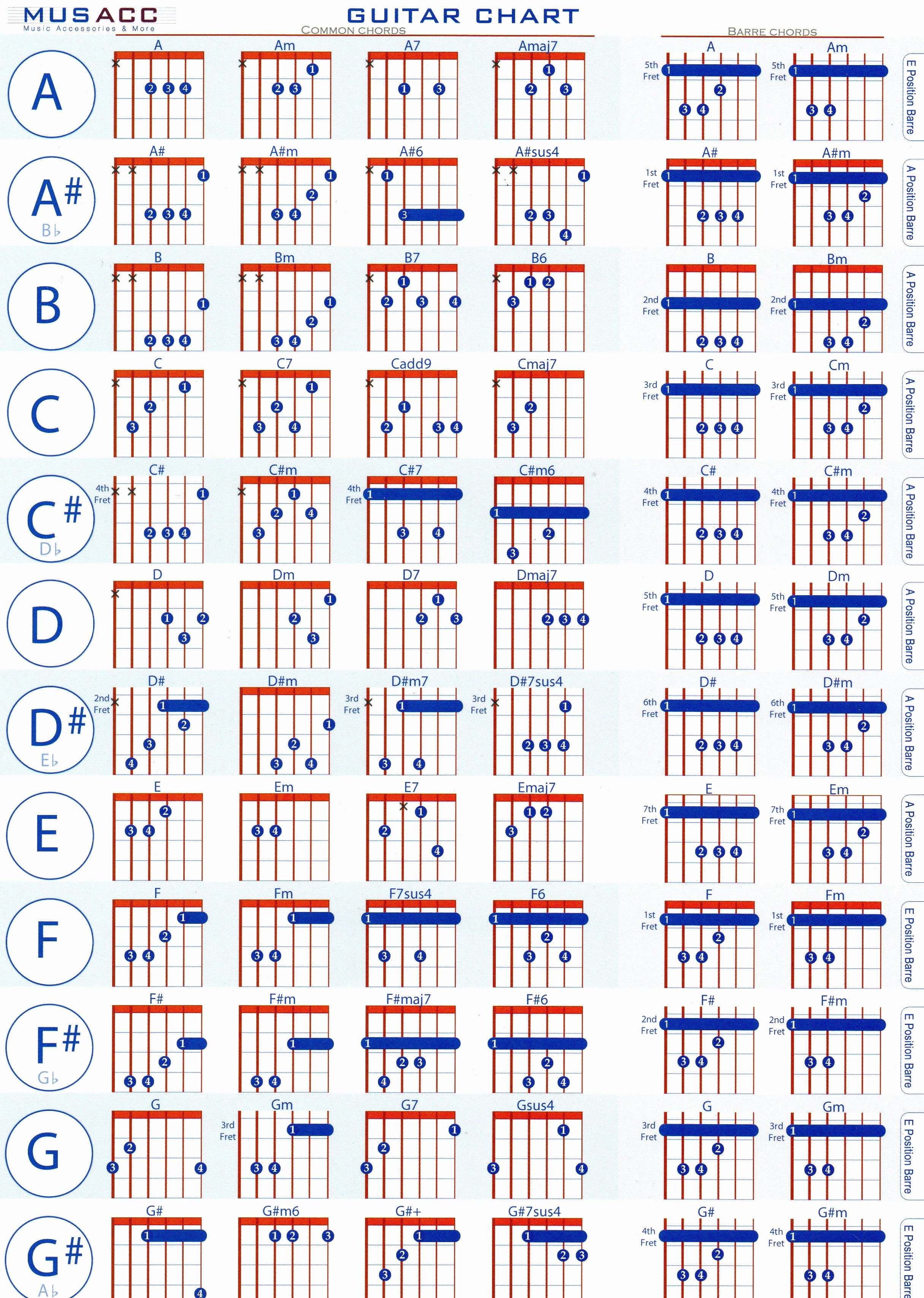 guitar bar chords chart pdf Physic minimalistics Guitar Power Chords ...