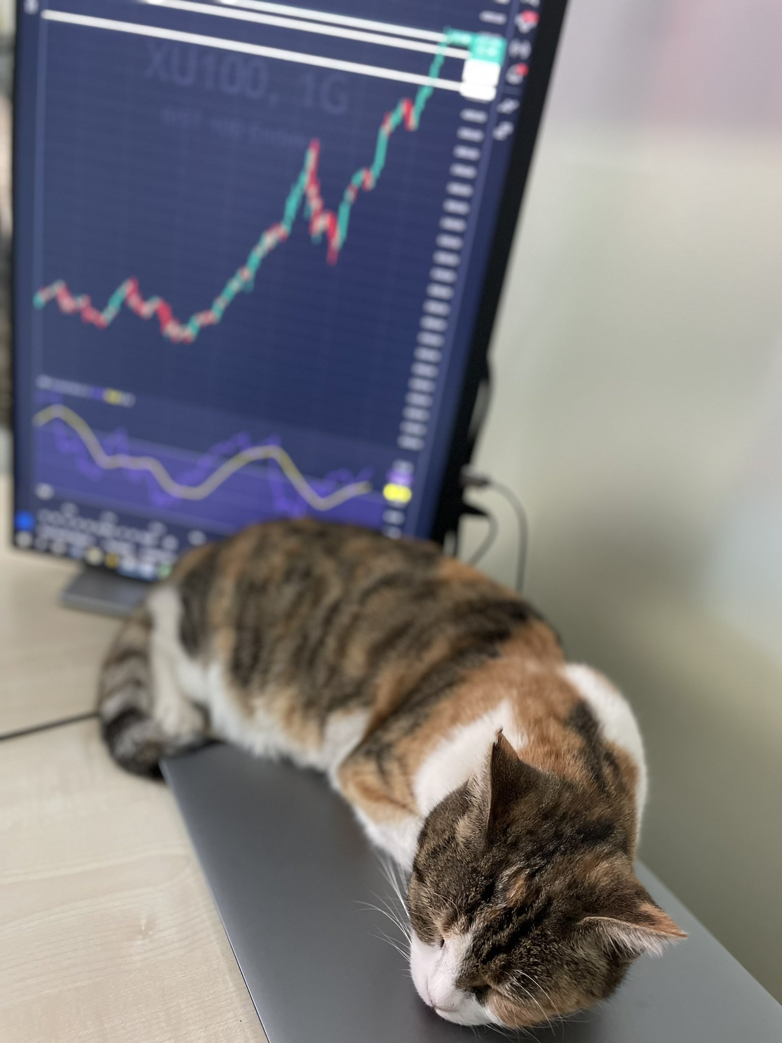 ชาร์ต TradingView บน Instagram @Ceyhun Özgür GÖNÜL