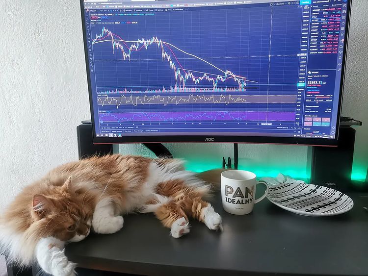 TradingView Chart on Instagram @cryptokitku