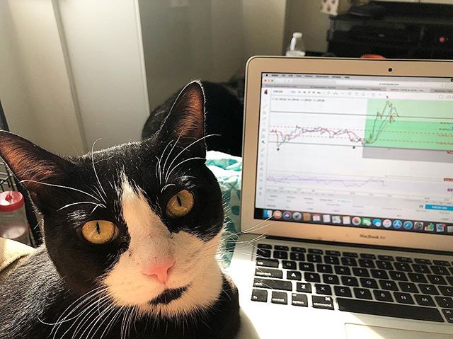 TradingView Chart on Instagram @ya_tu_sabes_1983