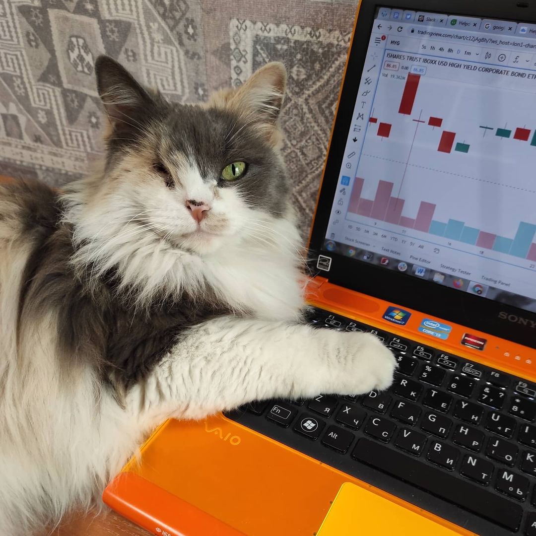 TradingView Chart on Instagram @anita.febrero