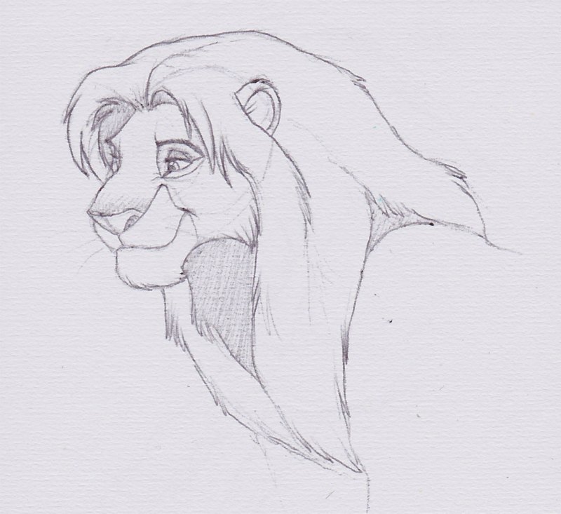 Another Simba « Annie's Album — Fan Art Albums of My Lion King