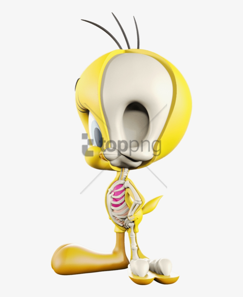 Free Png Download Tweety Bird Png Images Background Cartoon Transparent Png 480x922 Free Download On Nicepng