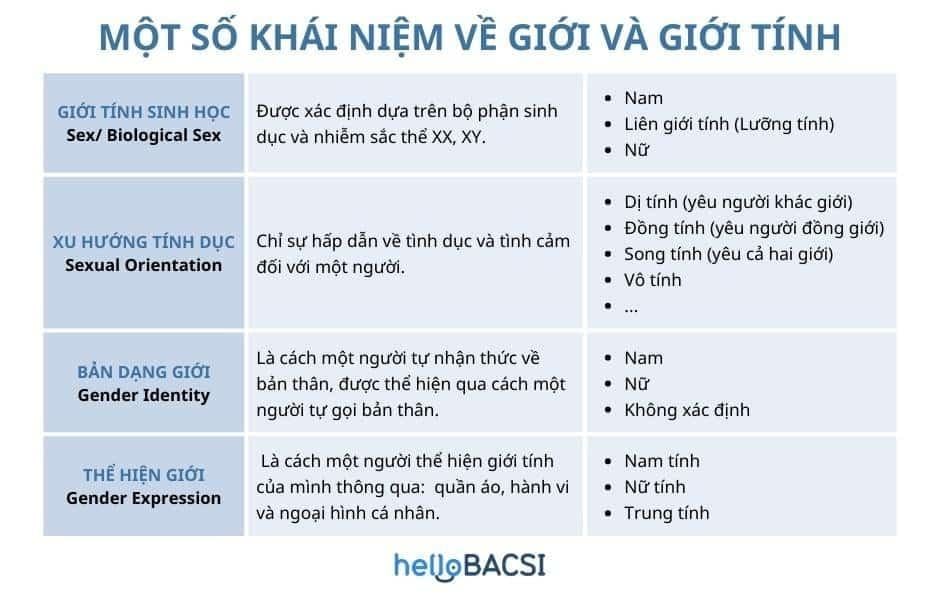 Bisexual và Pansexual là gì? Khám phá sự khác biệt và ý nghĩa