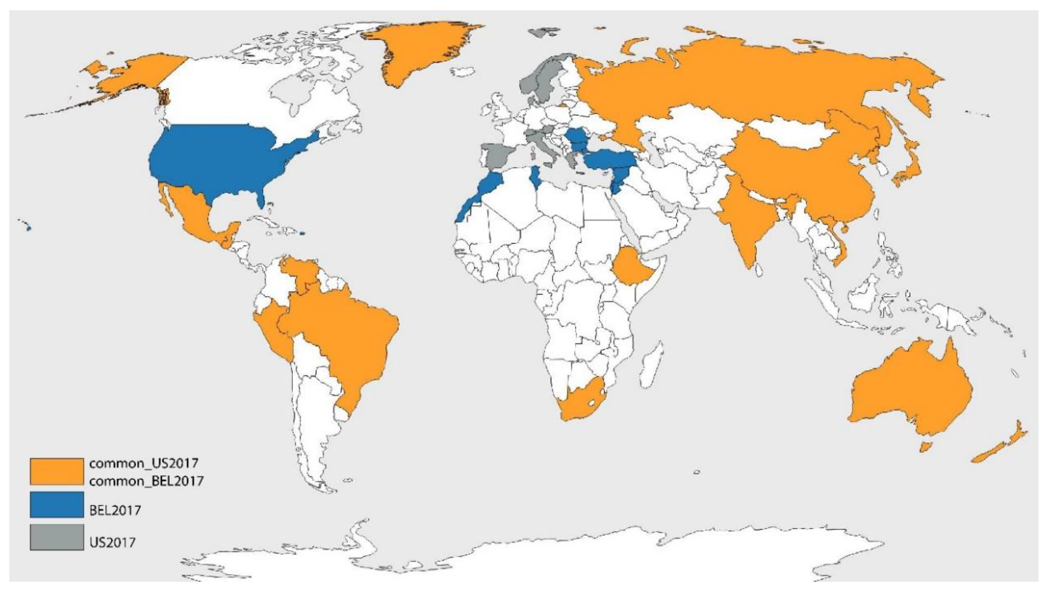 World.map Actual Size - Wayne Baisey