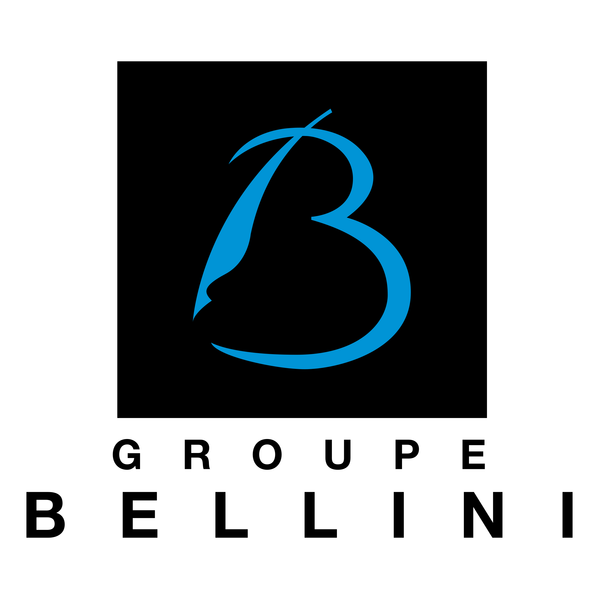 Bellini Groupe Logo png transparent