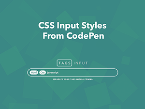 CSS Input Styles From CodePen