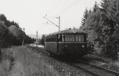 Eiswürmer müssen auch das Ausflädeln können