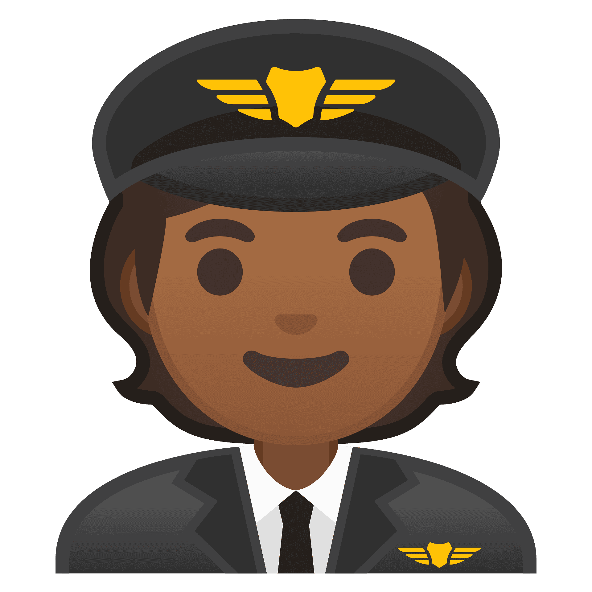 Pilot, Aviation, Airplane PNG Image