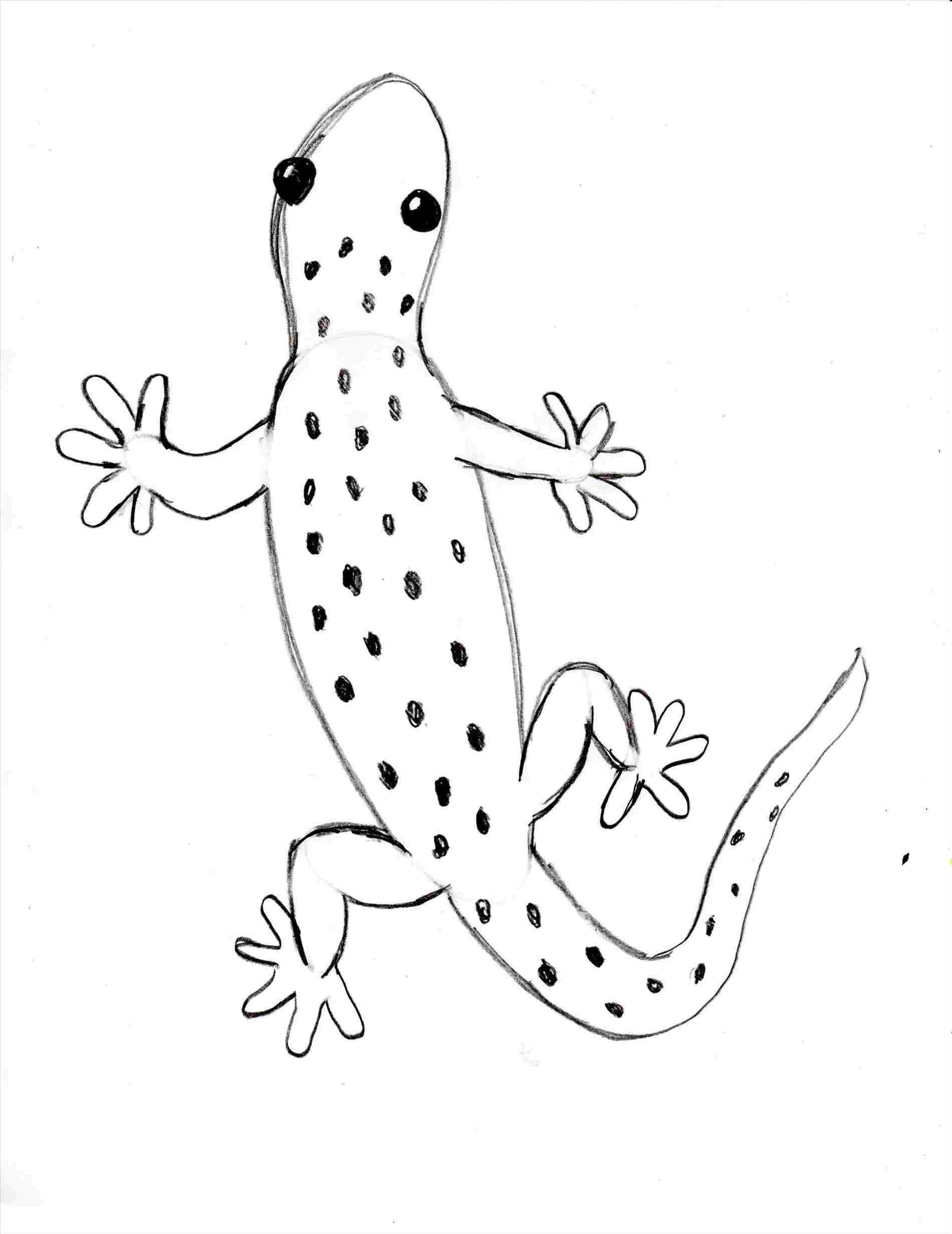 Como Dibujar Un Lagarto Paso A Paso How To Draw A Lizard Dibujos De ...