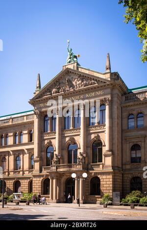 the Natural History Museum Alexander Koenig on Adenauer Allee, North Rhine-Westphalia, Bonn, Germany.  das Naturkundemuseum Alexander Koenig an der Ad Stock Photo