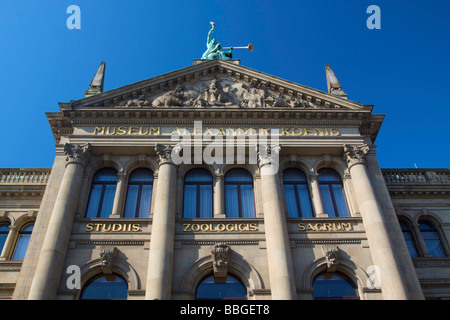 Alexander Koenig Museum, Zoological Research Museum, Bonn, North Rhine-Westphalia, Germany, Europe Stock Photo