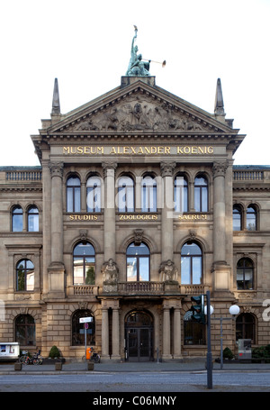 Alexander Koenig Museum, Zoological Research Institute, Natural History Museum, Bonn, Rhineland, North Rhine-Westphalia Stock Photo