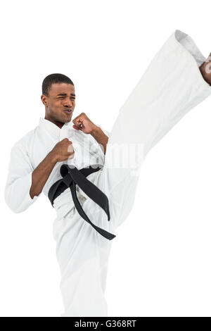 Fighter performing karate stance Stock Photo