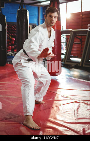 Karate player performing karate stance Stock Photo