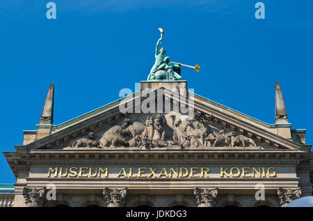 Europe, Germany, North Rhine-Westphalia, Bonn, zoological research museum Alexander Koenig, gable frieze, , Europa, Deutschland, Nordrhein-Westfalen,  Stock Photo