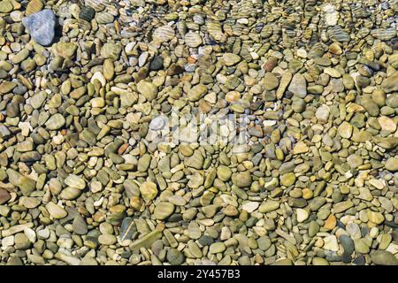 Foto-Hintergrund Textur, felsiger Flussboden mit klarem, transparentem Wasser auf dem seichten Wasser. Stockfoto