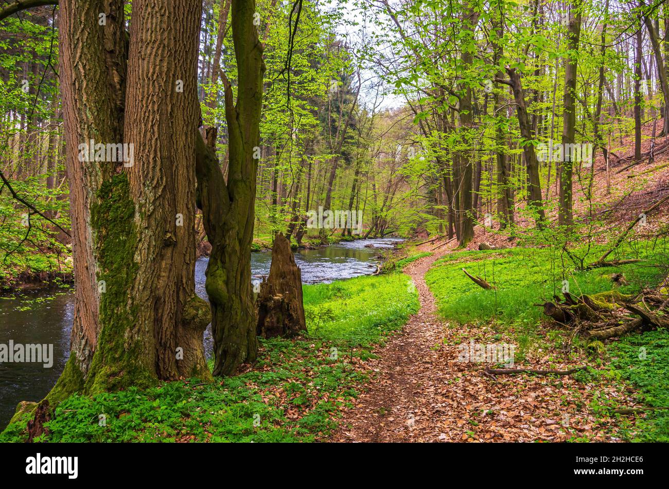 Seifersdorfer Tal, Wachau, Saxony, Germany Stock Photo