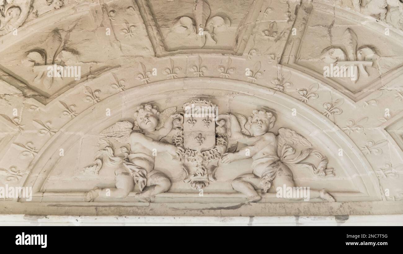 Chambord, France - Dec. 30 2022: The french royal emblem relief in Chambord Castle Stock Photo