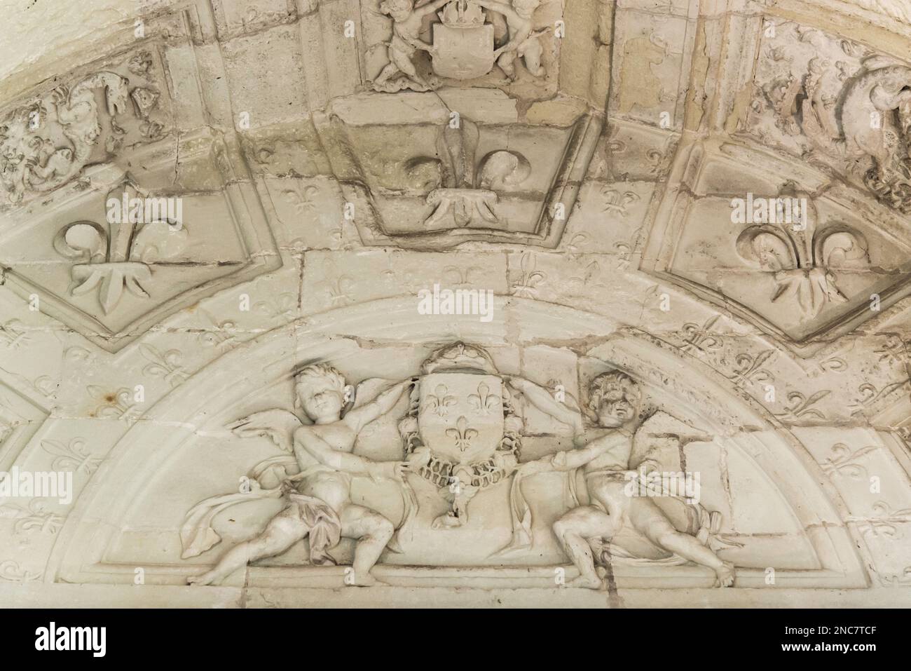 Chambord, France - Dec. 30 2022: The french royal emblem relief in Chambord Castle Stock Photo