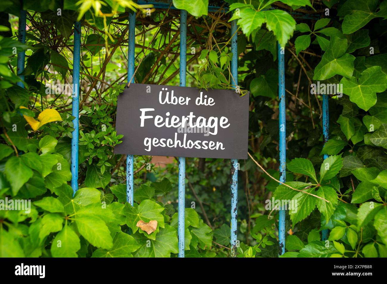 Symbol image of company holidays: Sign on the garden with the german inscription   ÜBER DIE FEIERTAGE GESCHLOSSEN (closed over the public holidays) Stock Photo