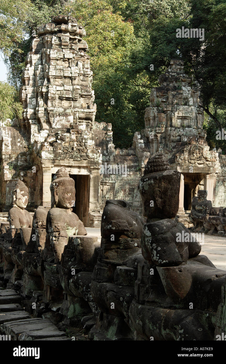 Trees and ruins Preah Khan Temple Cambodia Stock Photo