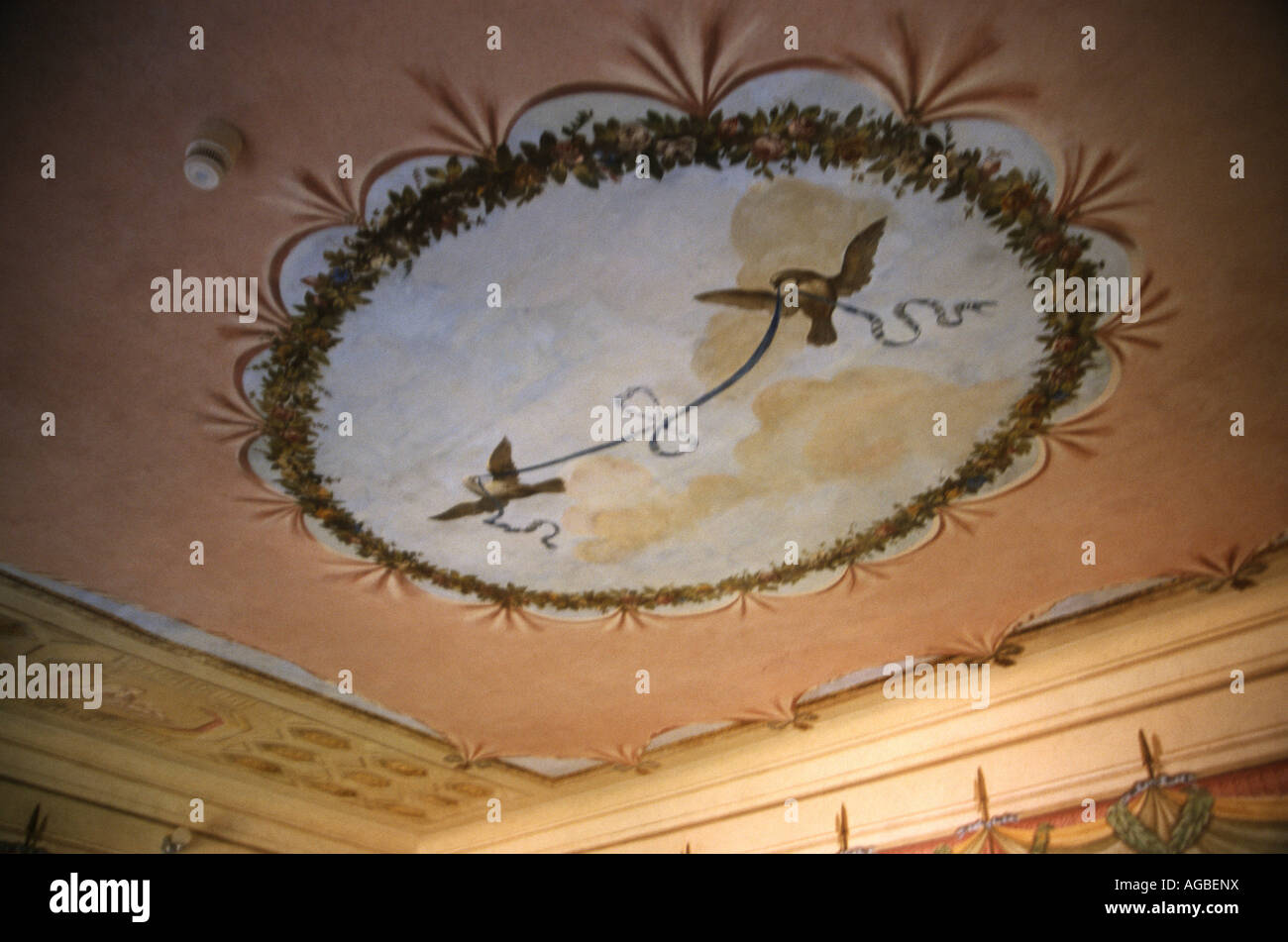 Ceiling detail in Napoleon Bonaparte's residence on the Isle of Elba,Italy. Stock Photo