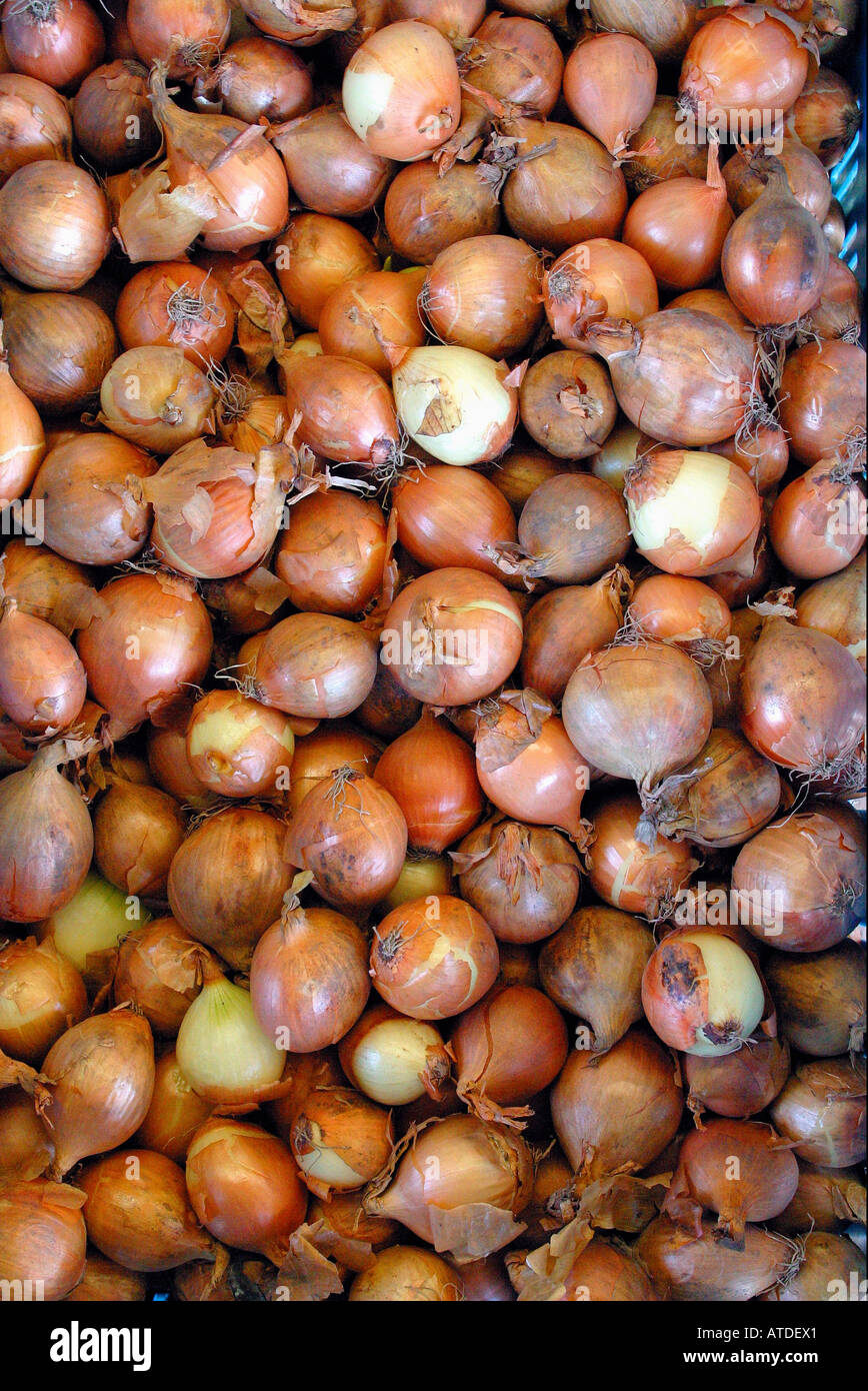 Onions, onion Stock Photo