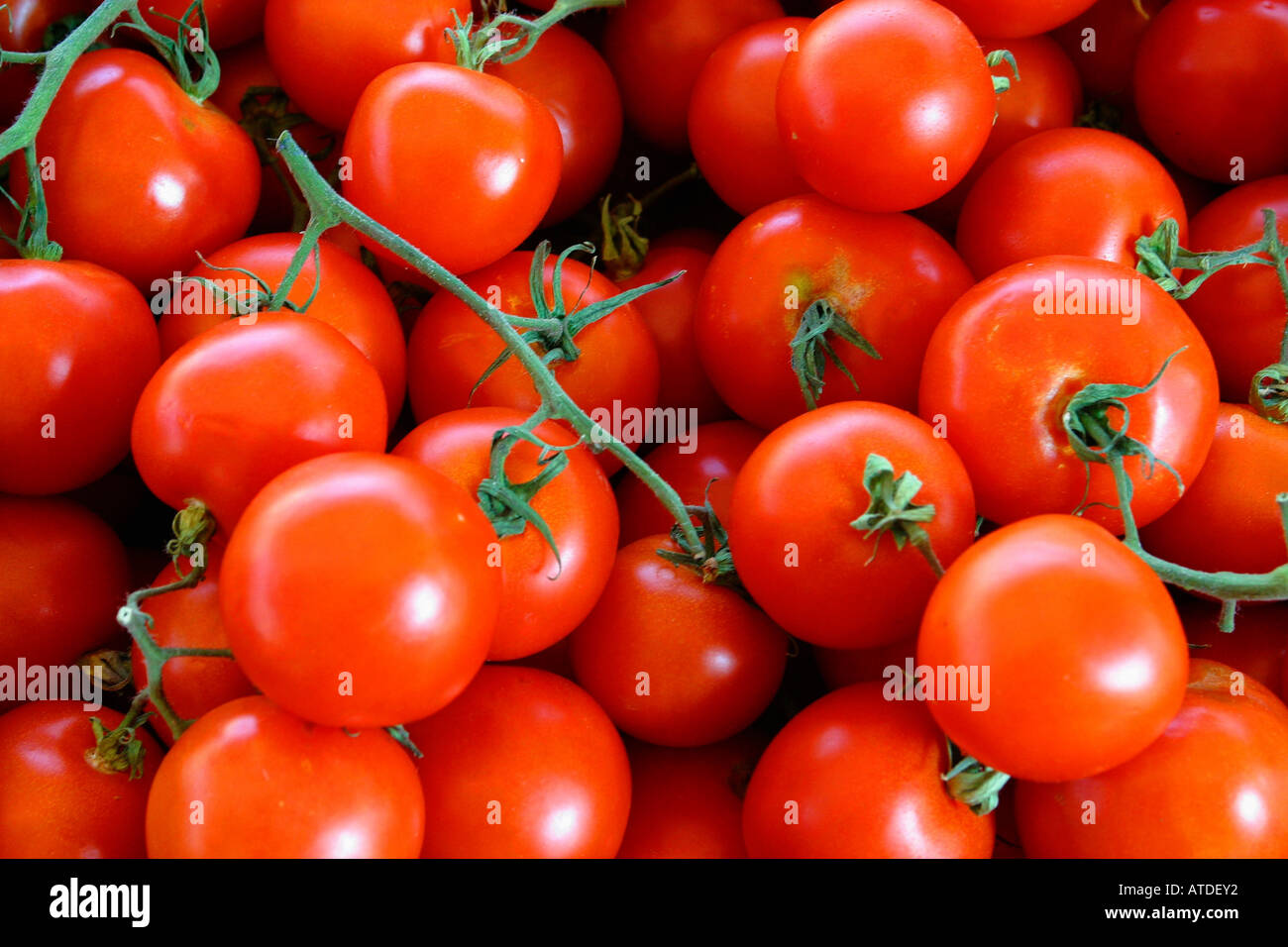 Tomatoes, tomato Stock Photo