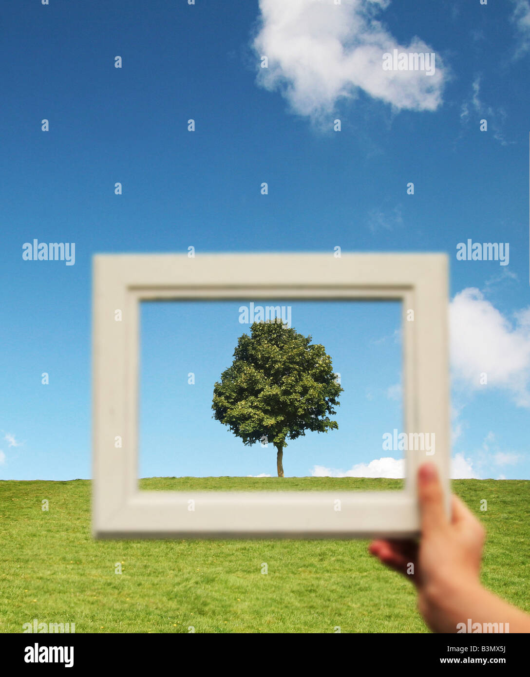 girl holding a picture frame in front of a tree Stock Photo