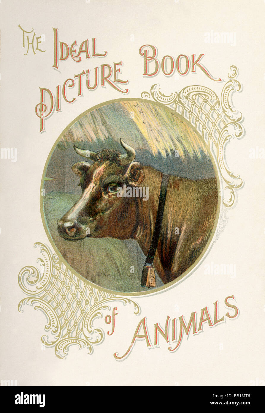 The Ideal Picture Book of Animals Stock Photo