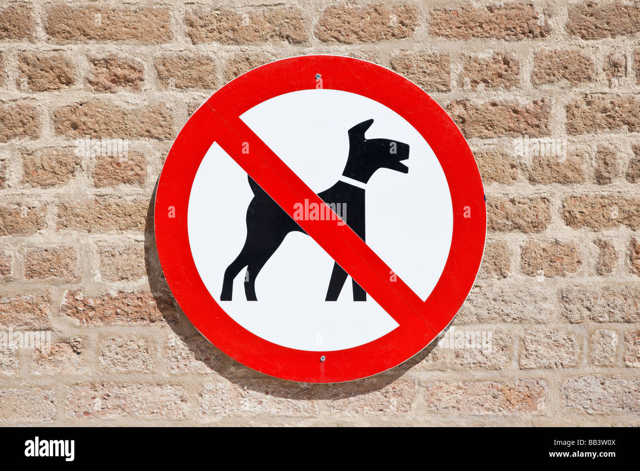 No Dogs symbol sign UK Stock Photo