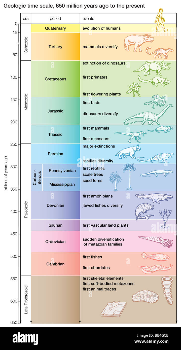 Periods And Eras Of Geological Time Scale