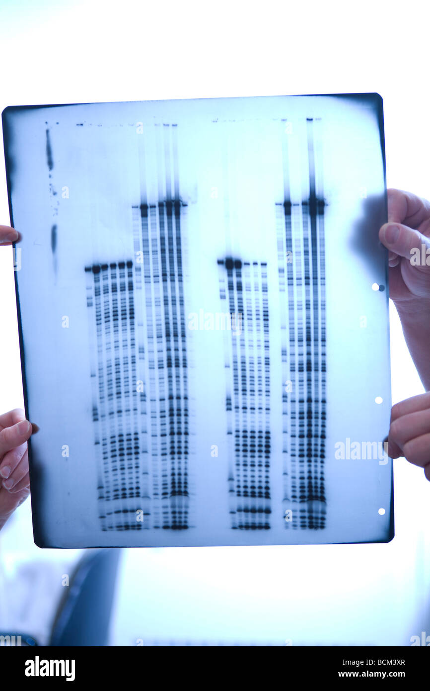 Scientific Data on Transparent Film Stock Photo