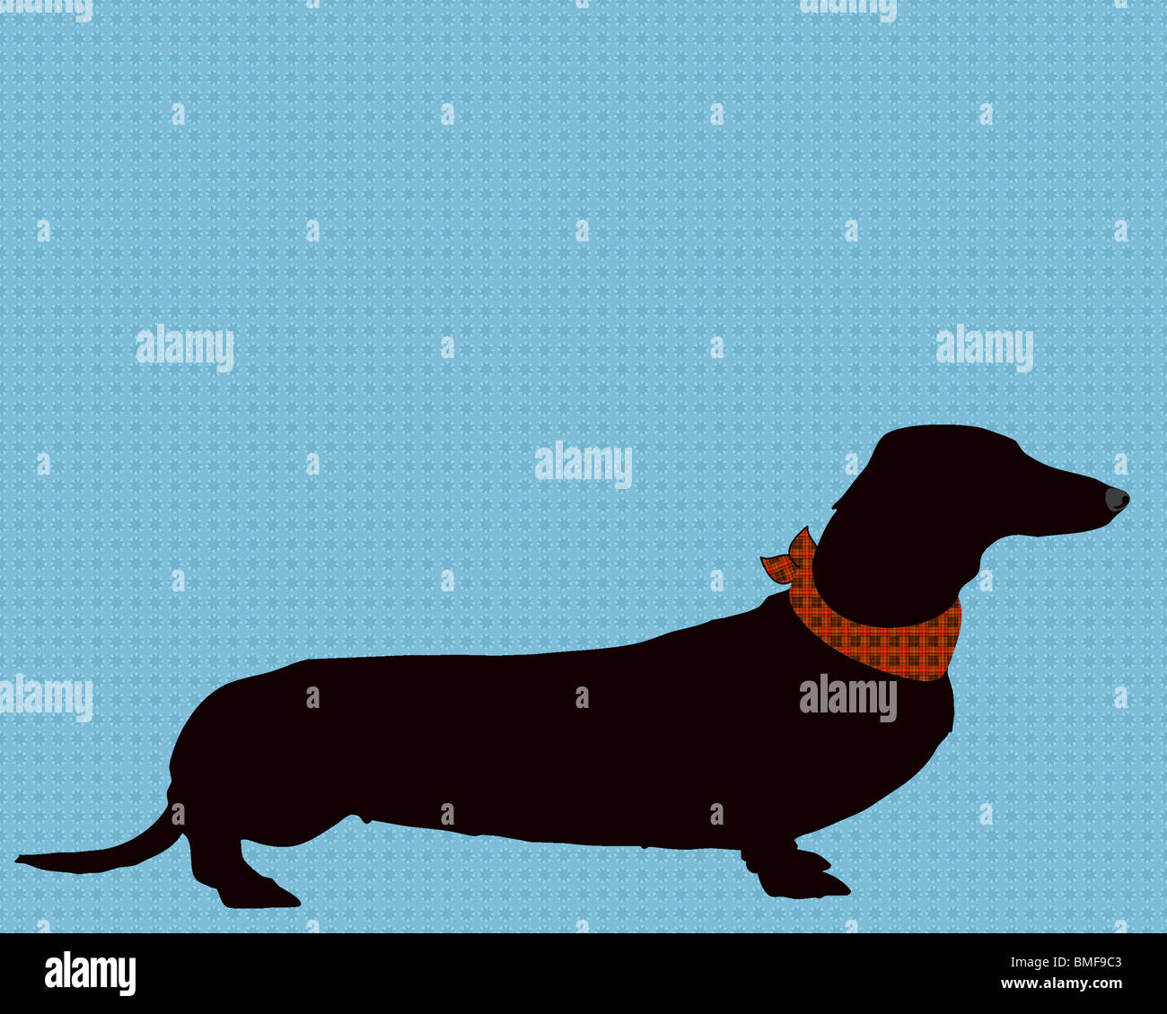 art, illustration, print, dachshund, dog, pet, animal, pet lover, dog lover, silhouette, pets, wall decor, Stock Photo