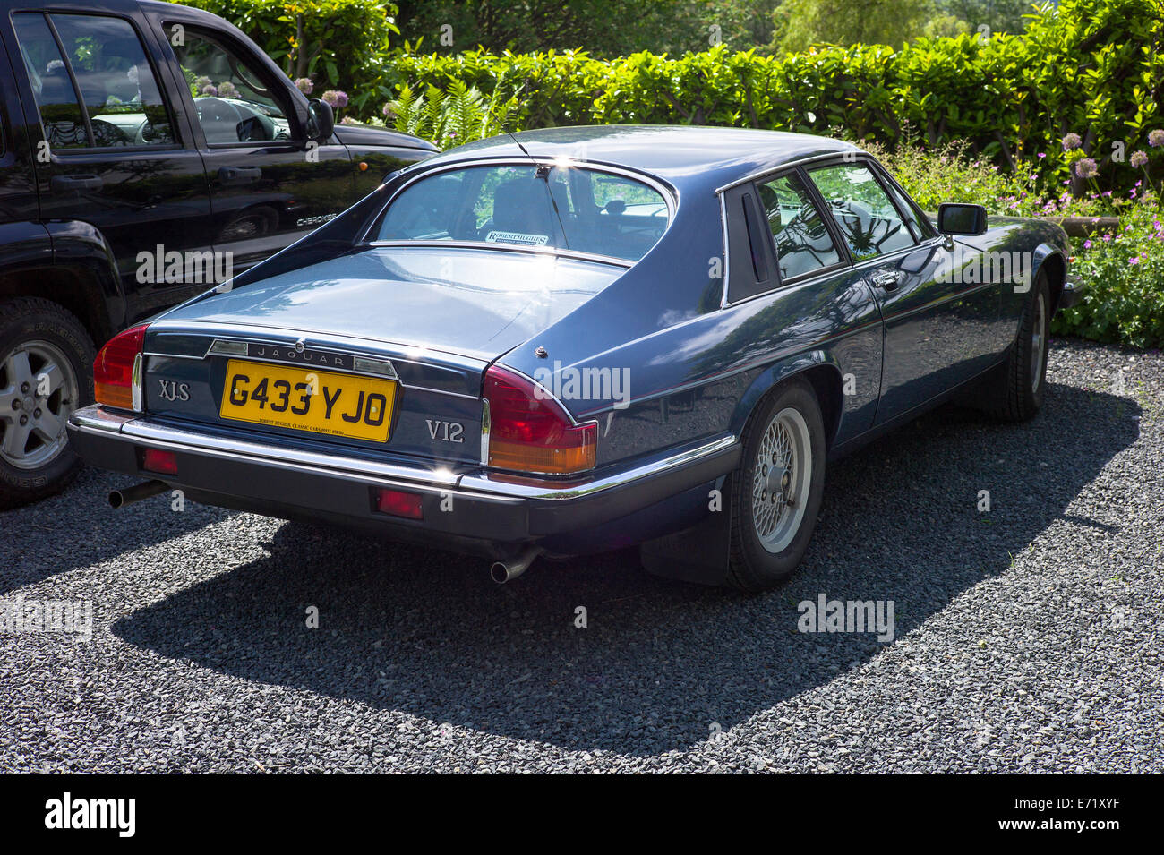 Sleek lines of an old Jaguar XJS car Stock Photo