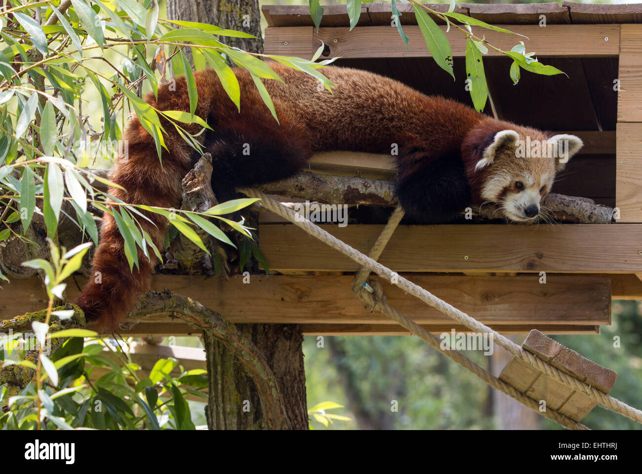 BIOTROPICA ZOOLOGICAL GREENHOUSE, UPPER NORMANDY, FRANCE Stock Photo