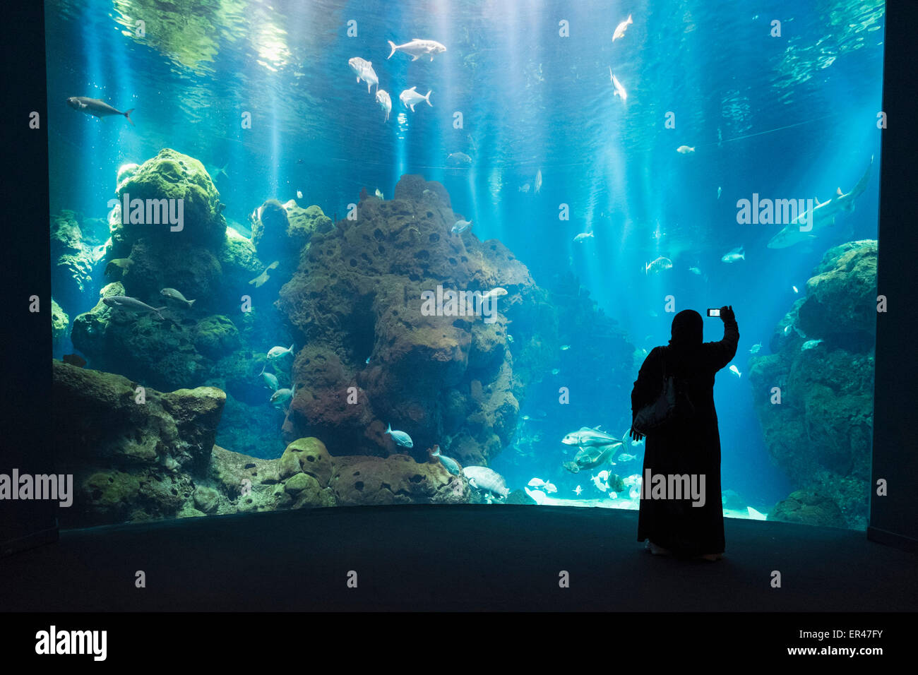 Aquarium at the Scientific Center in Kuwait City, Kuwait. Stock Photo