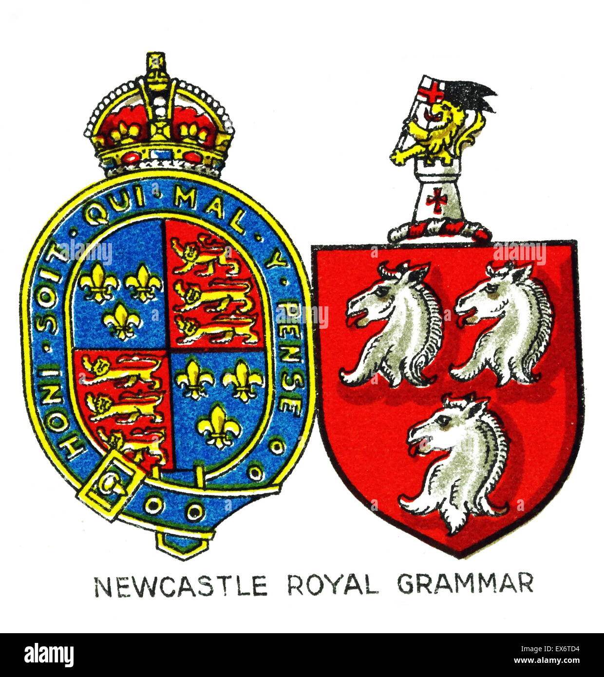 Emblem for Newcastle Royal Grammar School, Newcastle-upon-Tyne, a selective British independent school. It was founded by Thomas Horsley in 1525. Stock Photo