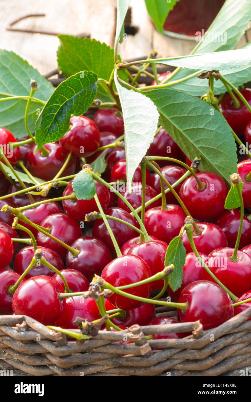 cherry Stock Photo