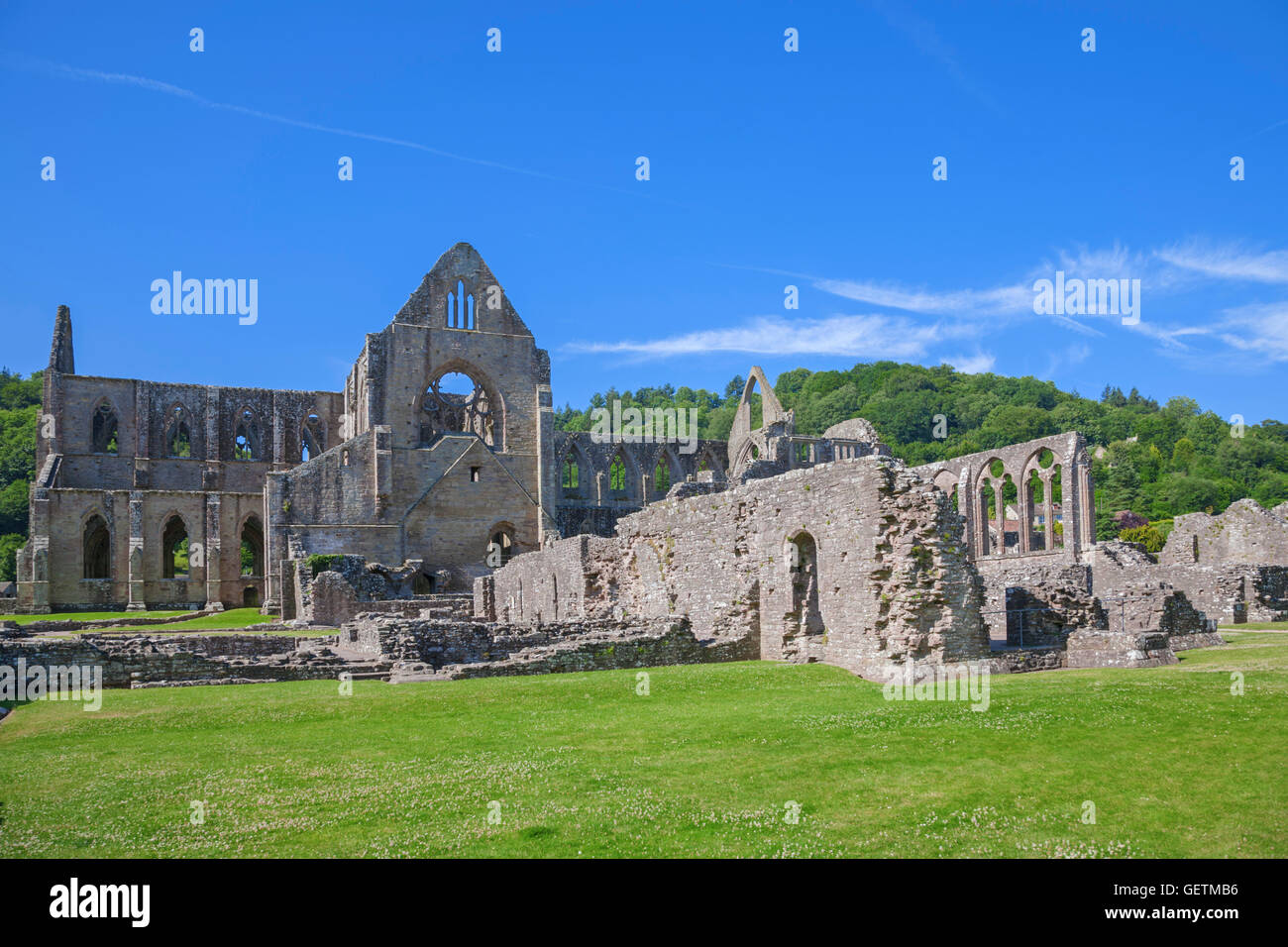 Tintern Abbey north aspect. Stock Photo