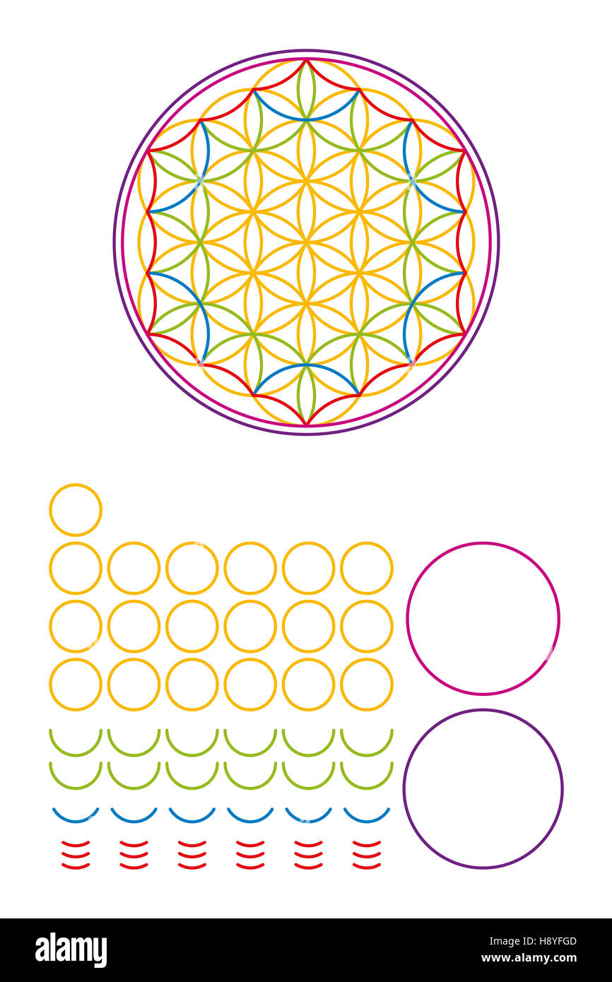 Flower of Life components and building set. Ancient symbol composed of nineteen overlapping circles. Stock Photo