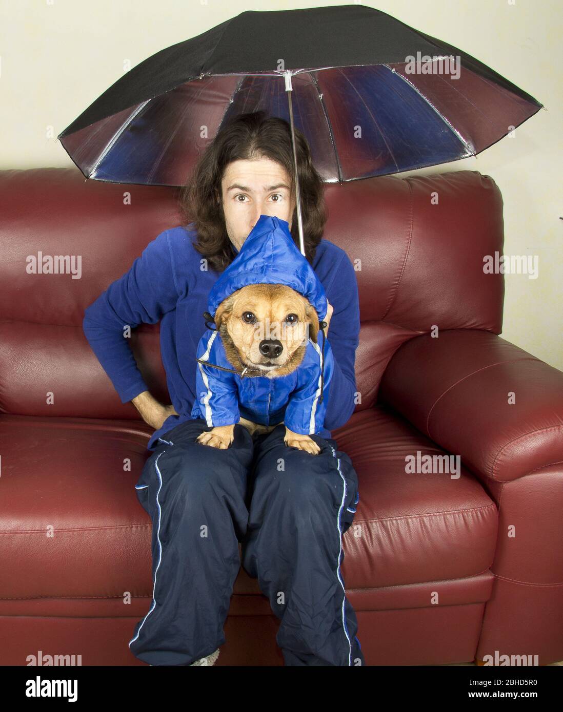 Der blaue Regenhund und und Meister Stockfoto