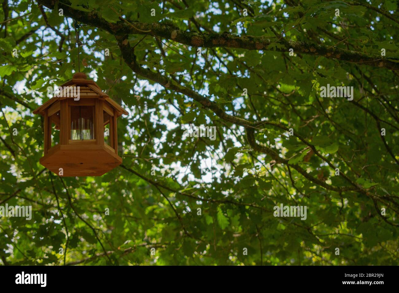 Vogel-Haus auf dem Baum Stockfoto