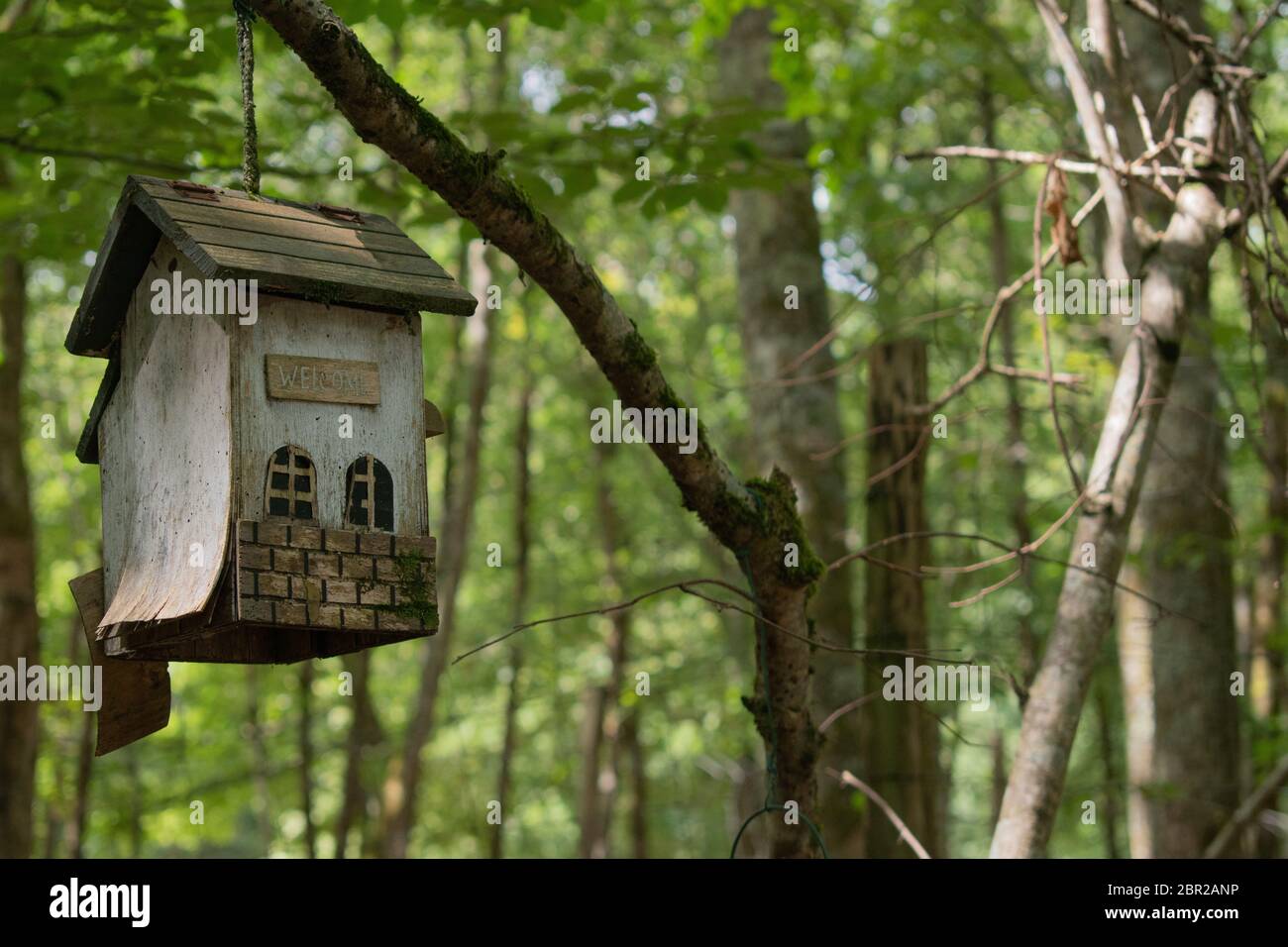 Vogel-Haus auf dem Baum Stockfoto