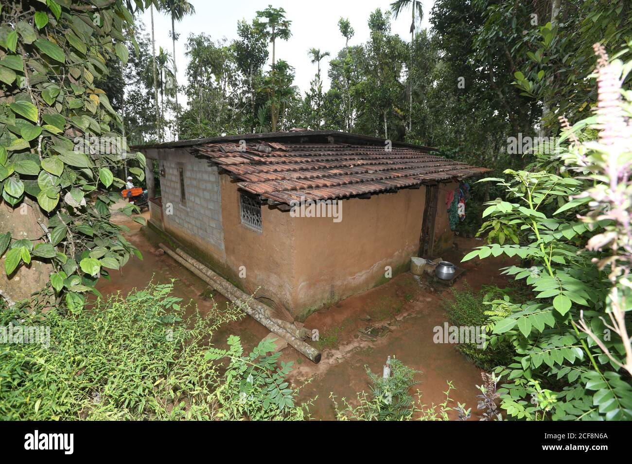 PANIYAN STAMM, traditionelles Haus in Chulliyod Dorf, Vannathara Kolonie, Kerala, Indien. Auch Paniya genannt oder auch bekannt als Paniyar Stockfoto