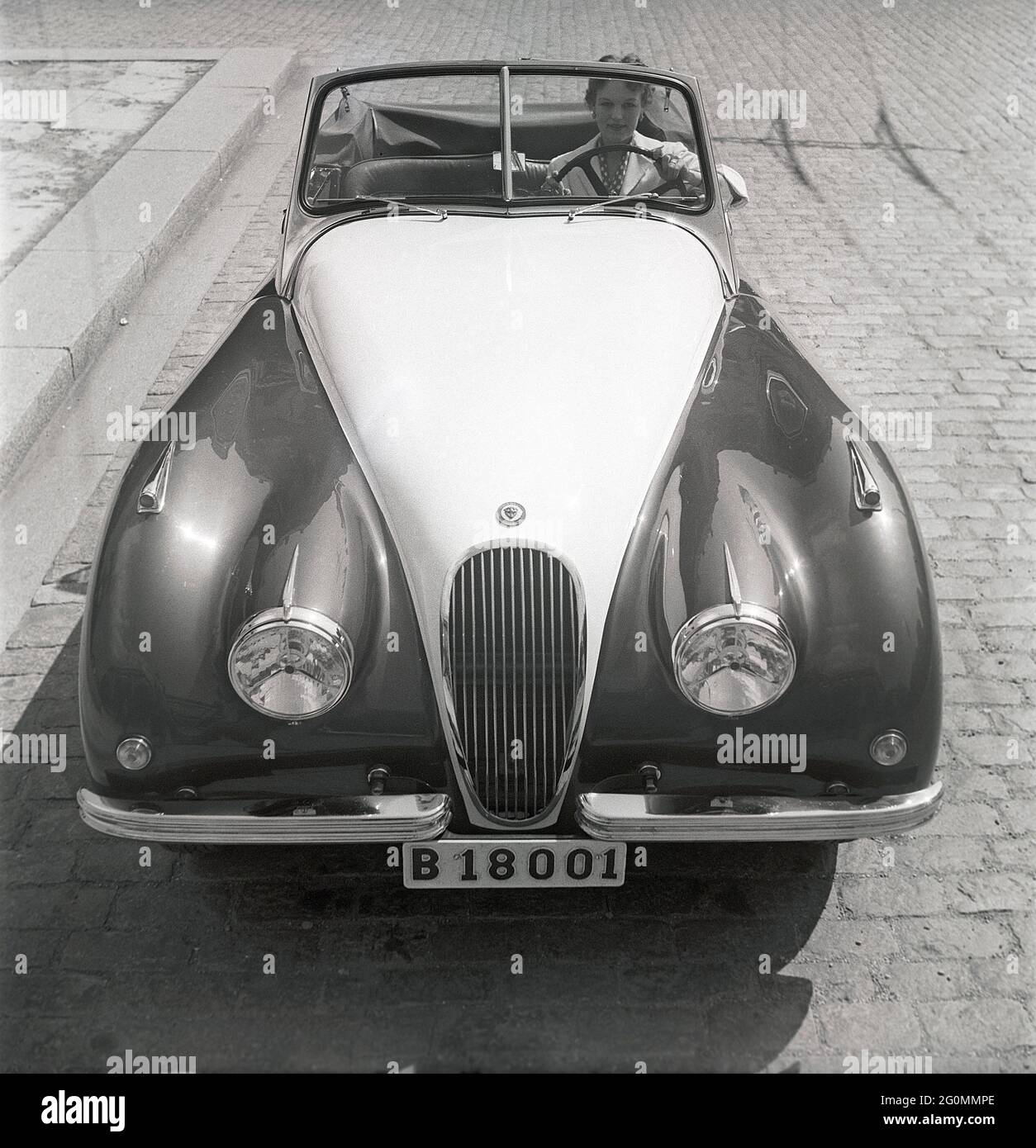 Fahren in den 1950er Jahren. Eine junge Frau in einem offenen Cabriolet des Jaguar XK120. Ein britischer Sportwagen, der als futuristisch anmutet. Die Zahlen 120 geben die Höchstgeschwindigkeit des Fahrzeugs an, 120 mph/193 km/h. Das Auto war ein Zweisitzer mit einer Aluminium-Chasse. Es wurde in insgesamt 12078 Autos hergestellt. Schweden 1953. ref. BL108-1 Stockfoto