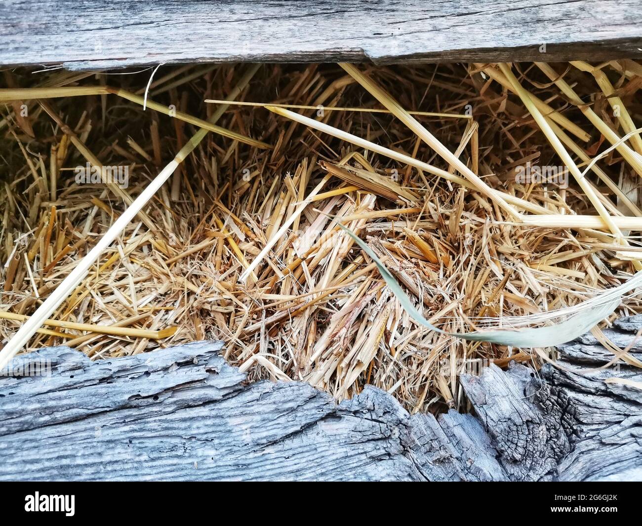 Heuhaufen, Heuhaufen im Dorf, gelbe Strohhalme. Stockfoto