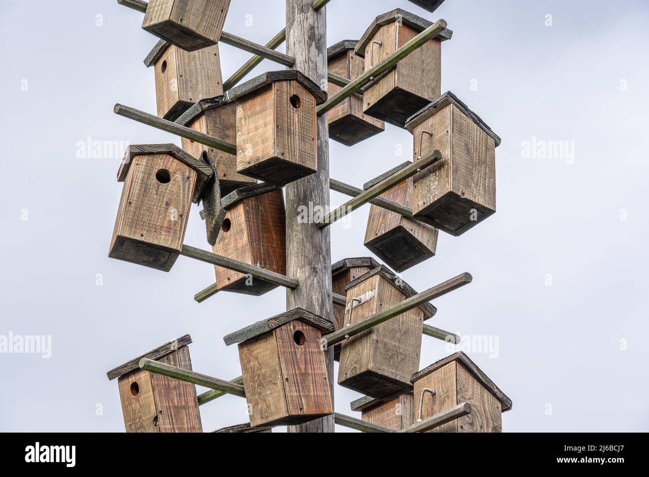 Viele hölzerne Vogelhäuser sind auf einem Holzmast montiert. Hier können Vögel brüten und brüten. Das Symbol steht auch für den engen Wohnraum im c Stockfoto